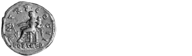 Fortuna Silver